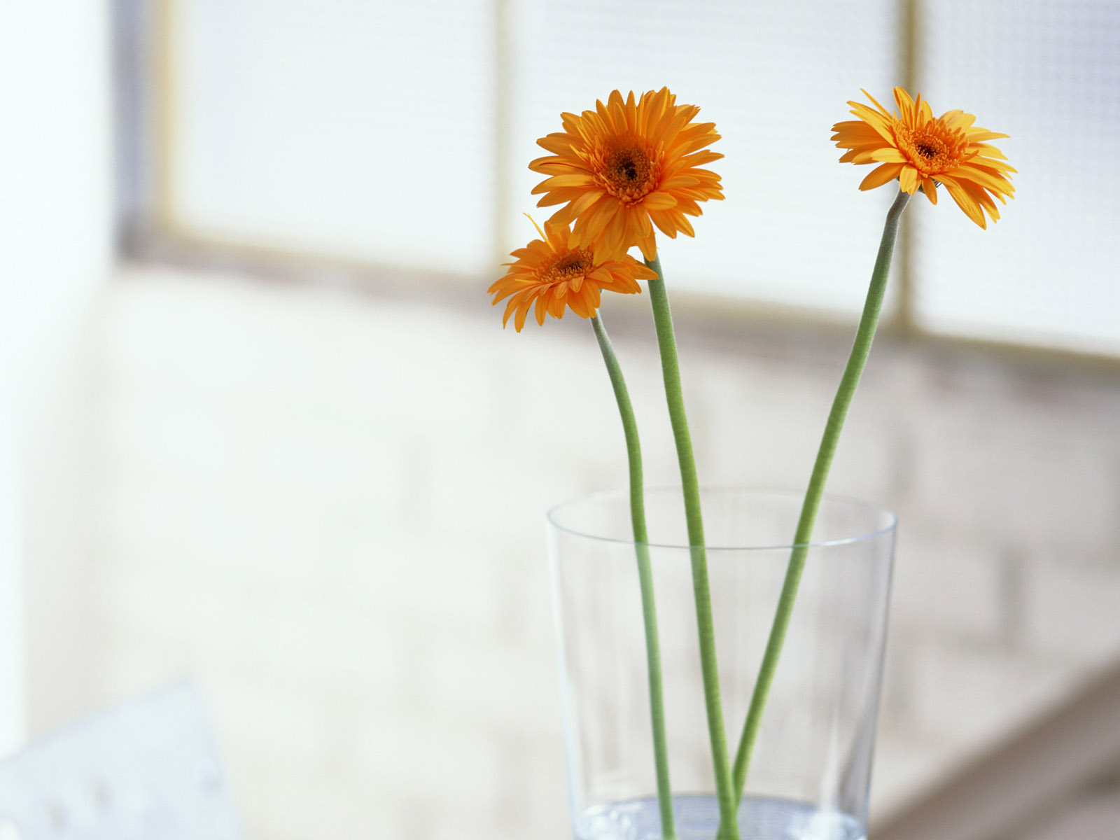让美德开出花来（太平煤矿&nbsp;张娟）