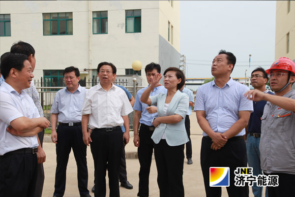 金乡县县委书记董冰带队观摩团到济矿民生热能指导工作