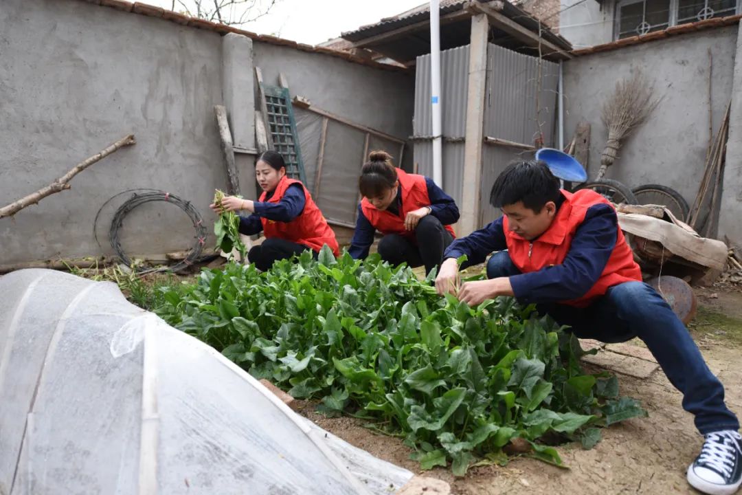 1617265944700578.jpg 微信图片_20210401163010.jpg