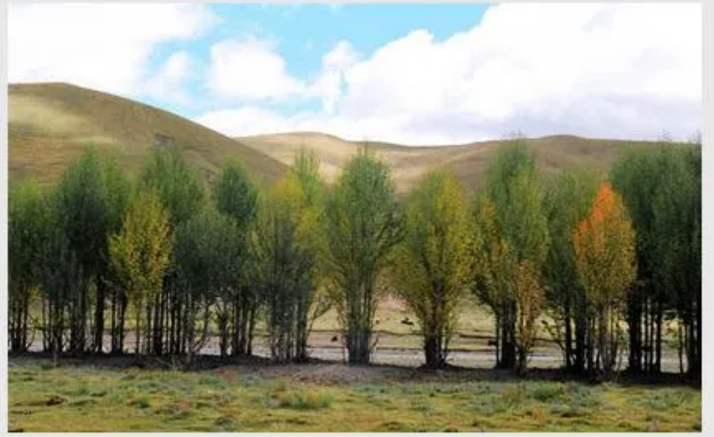 1636083043430299.png 微信截图_20211105112909.png