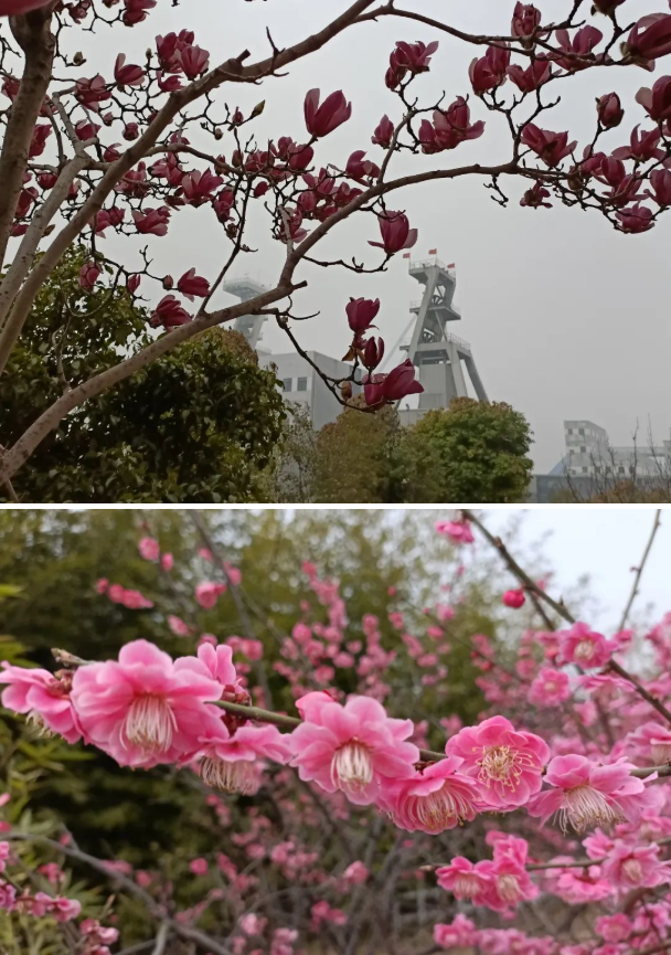 微信截图_20220315083342.png