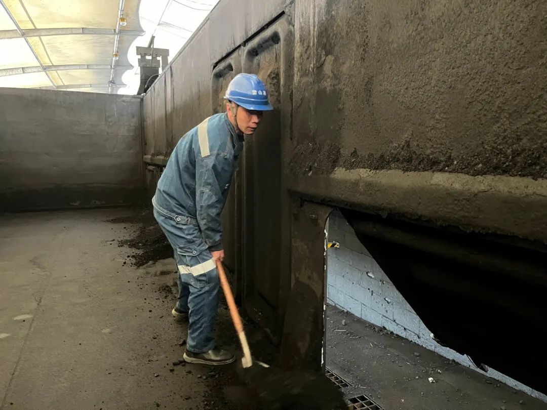 1720175338542415.jpg 1720175368741.jpg