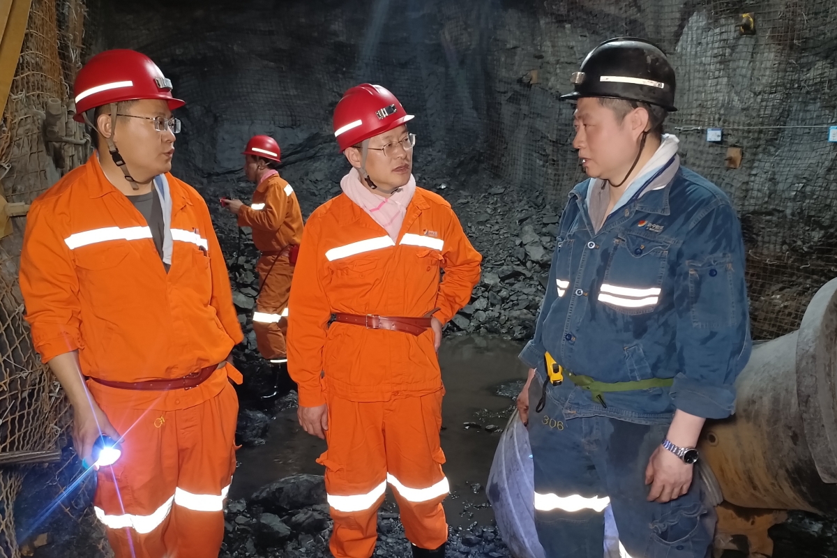 1742796678996056.jpg 2.jpg