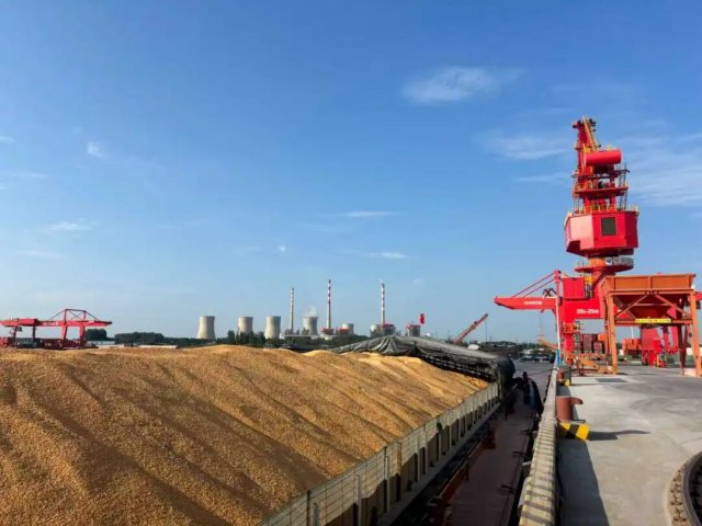 首列“北粮南运”专列抵达济宁大运河！