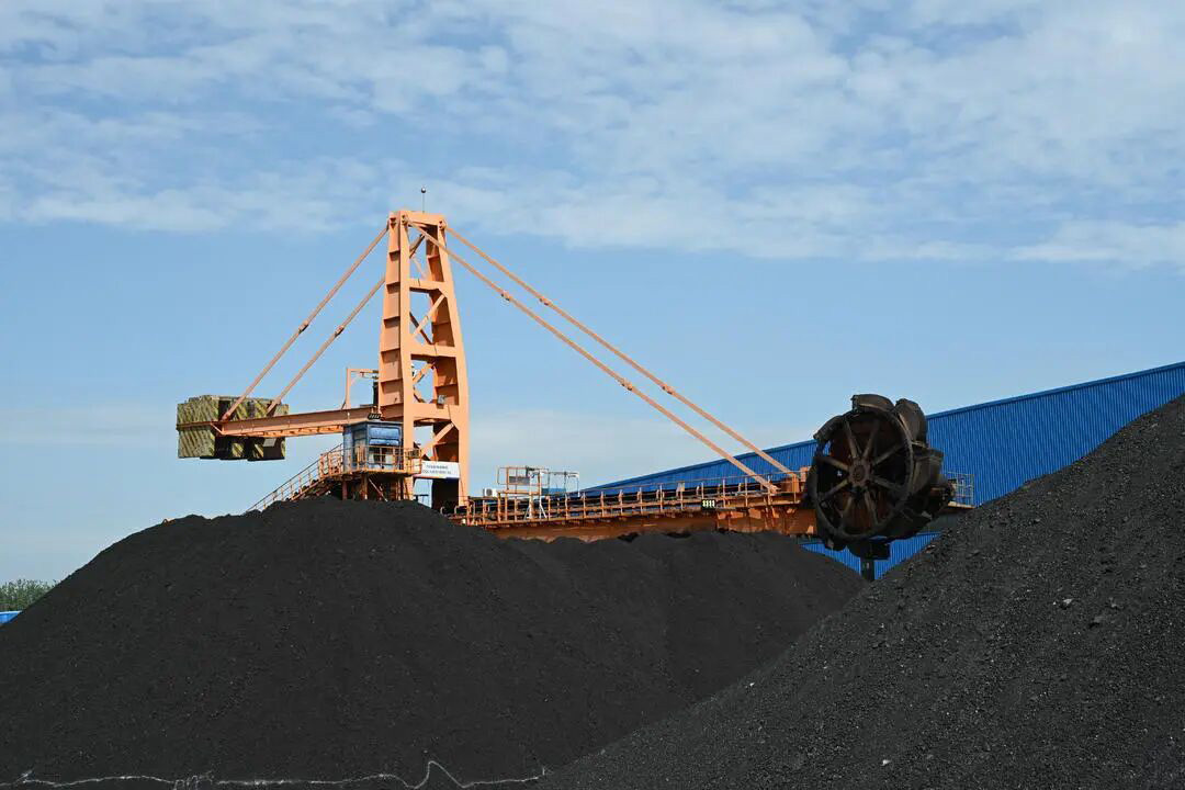 1764719572560273.jpg 02.jpg