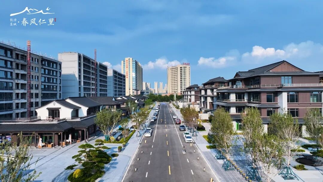 1764915838115497.jpg 02.jpg