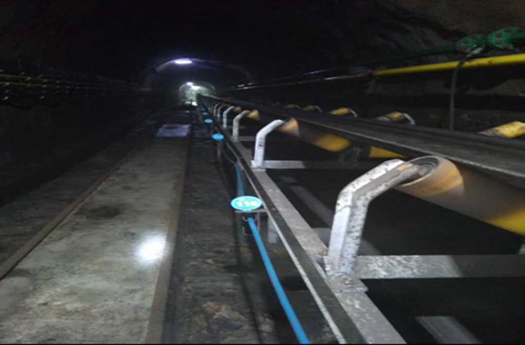 1766731966111602.jpg 01.jpg