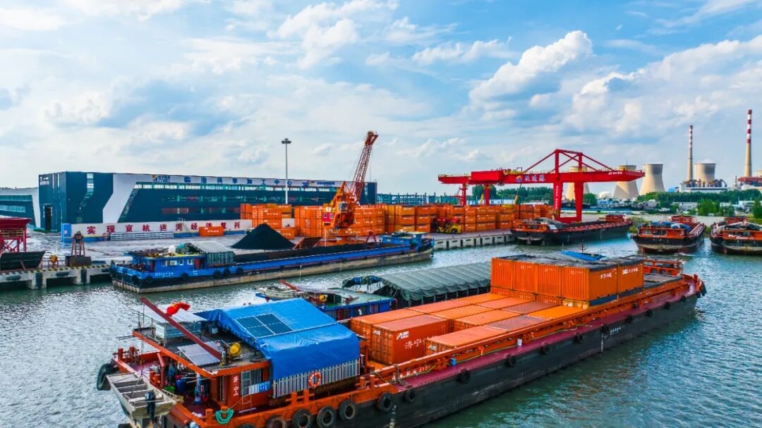 1769134744116035.jpg 03.jpg