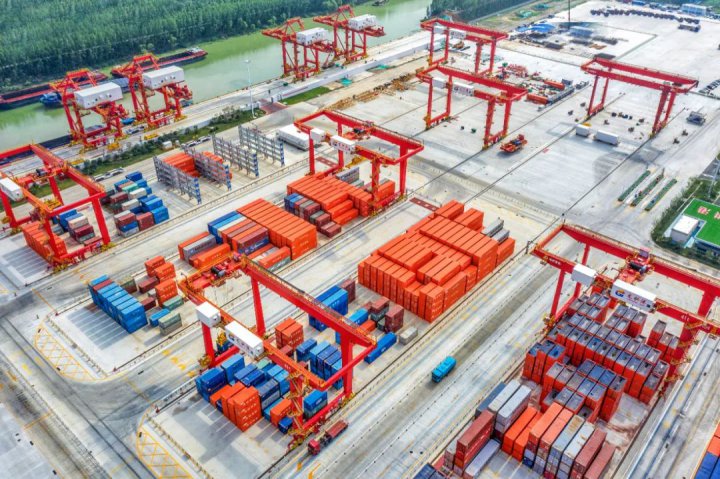 新春我在岗丨龙拱港“指尖上的暖心春”