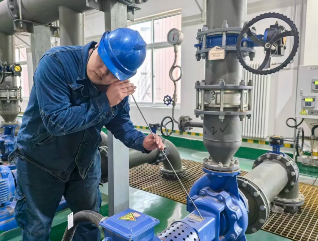 1771381630852115.jpg 03.jpg