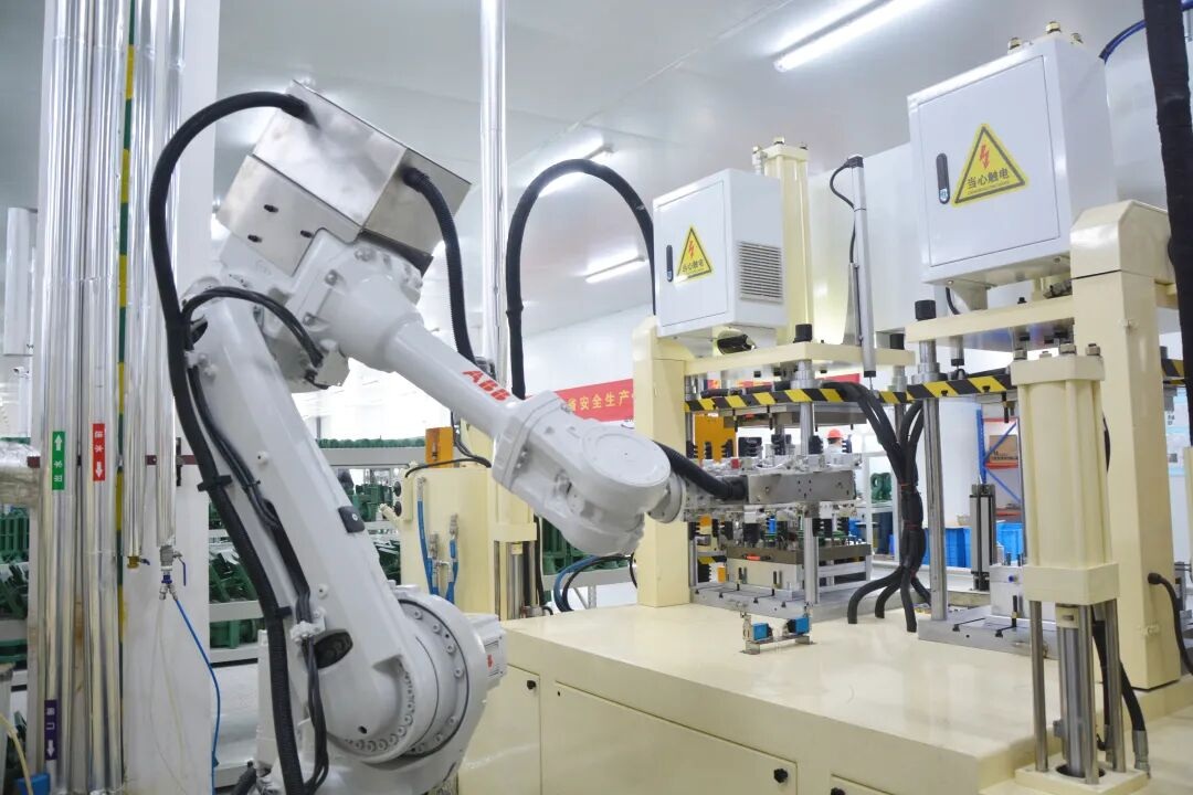 1773889986461429.jpg 03.jpg